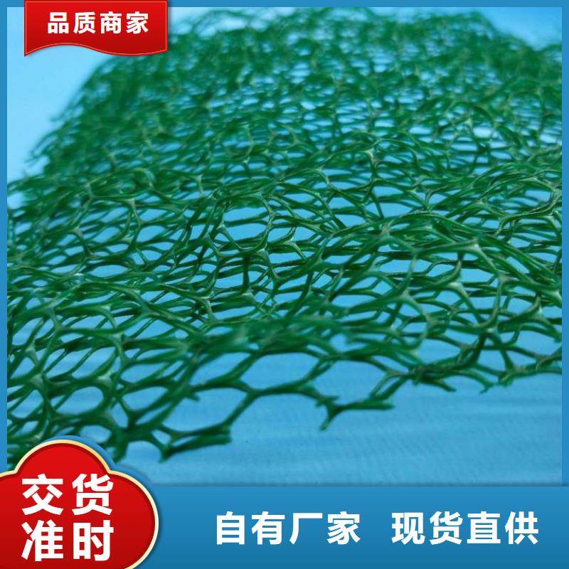 三维植被网短丝土工布一手价格