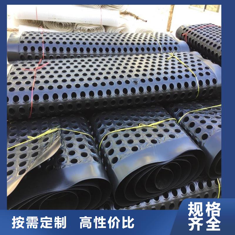 塑料排水板钢塑土工格栅诚信商家
