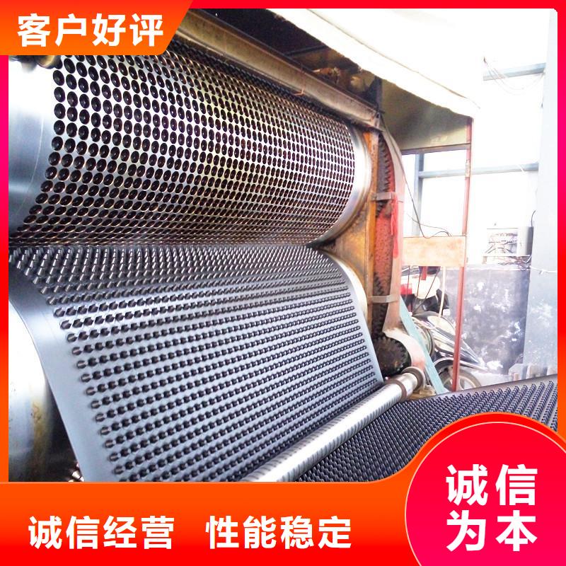 塑料排水板钢塑土工格栅诚信商家