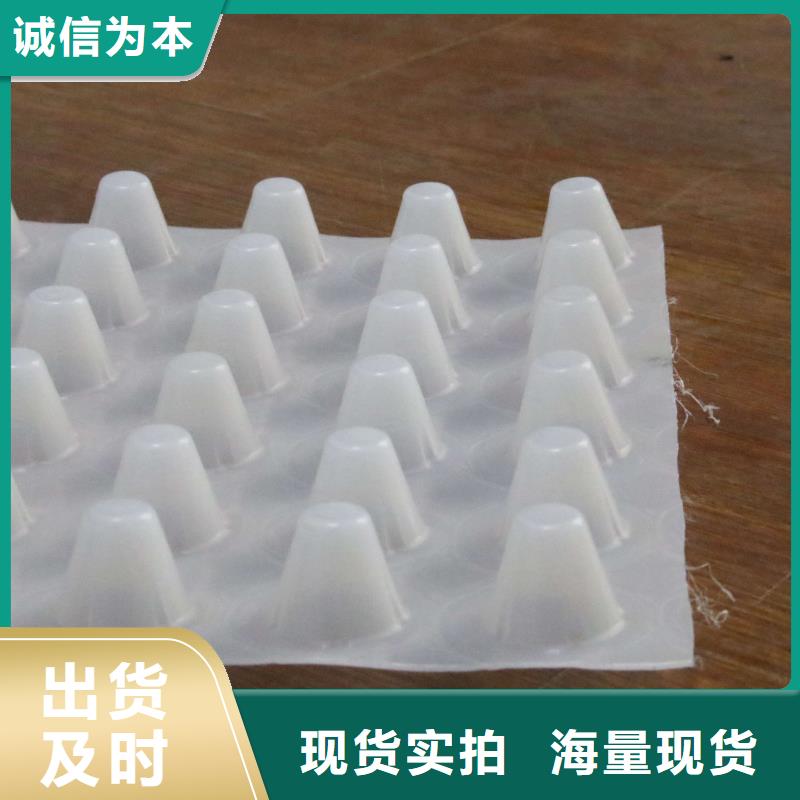 塑料排水板塑料土工格栅一站式采购商家