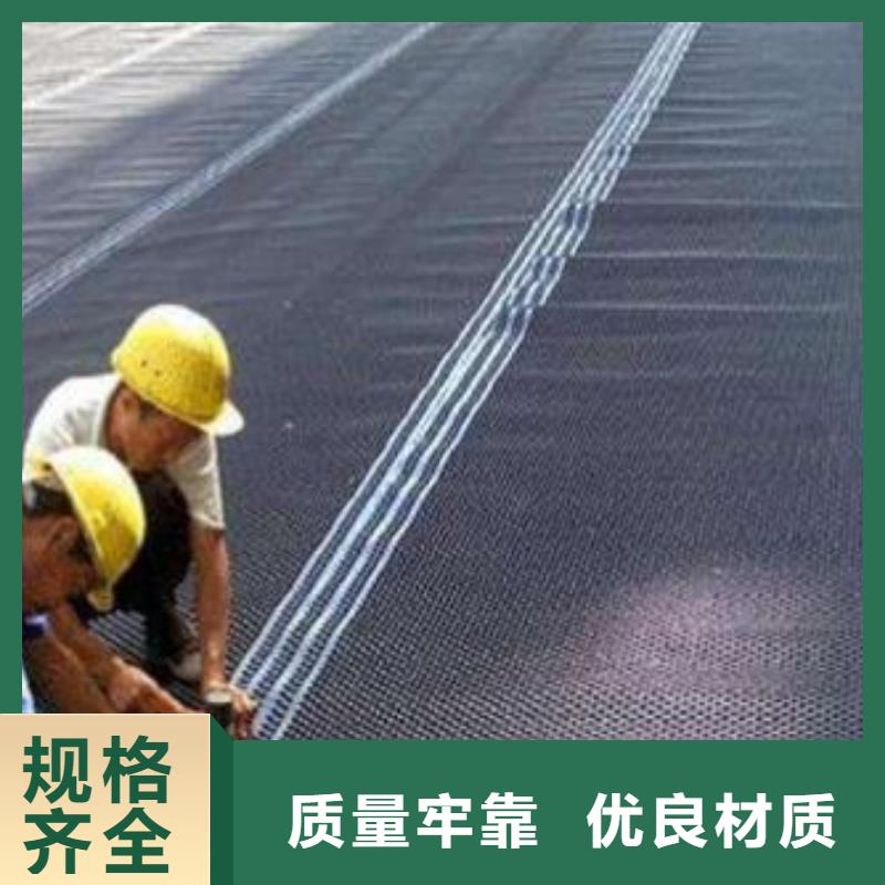 塑料排水板,双向土工格栅专业按需定制