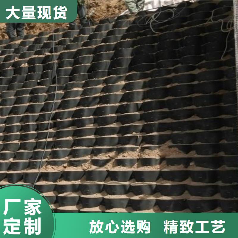 土工格室_三维土工网垫通过检测