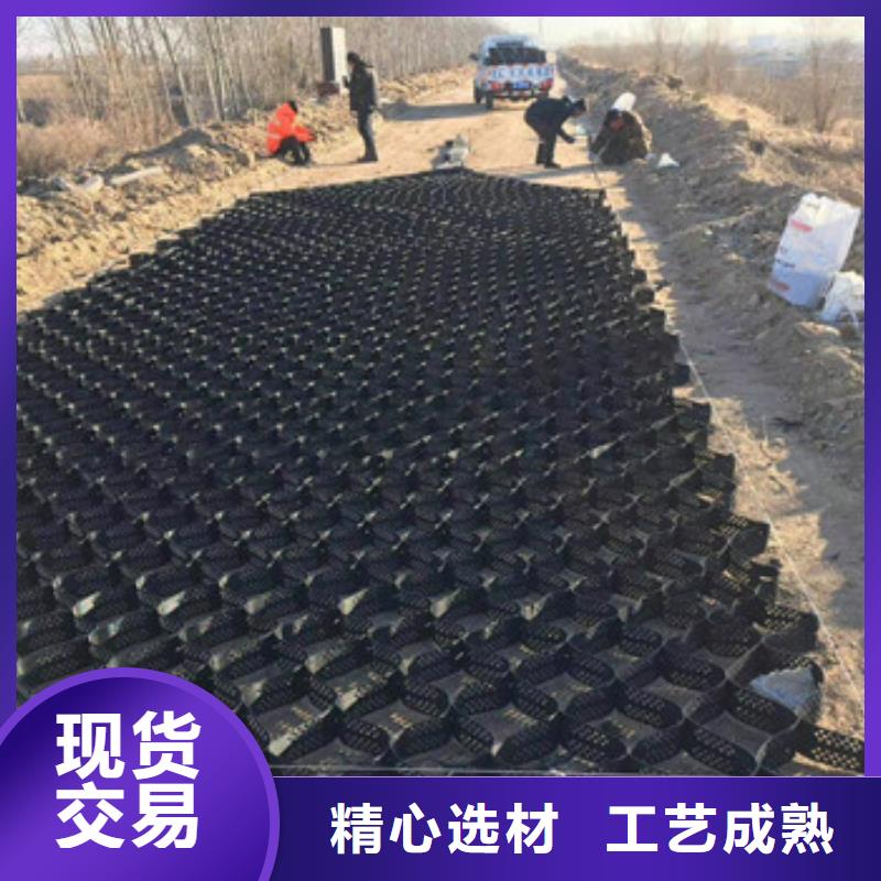 土工格室_反滤土工布好货直供