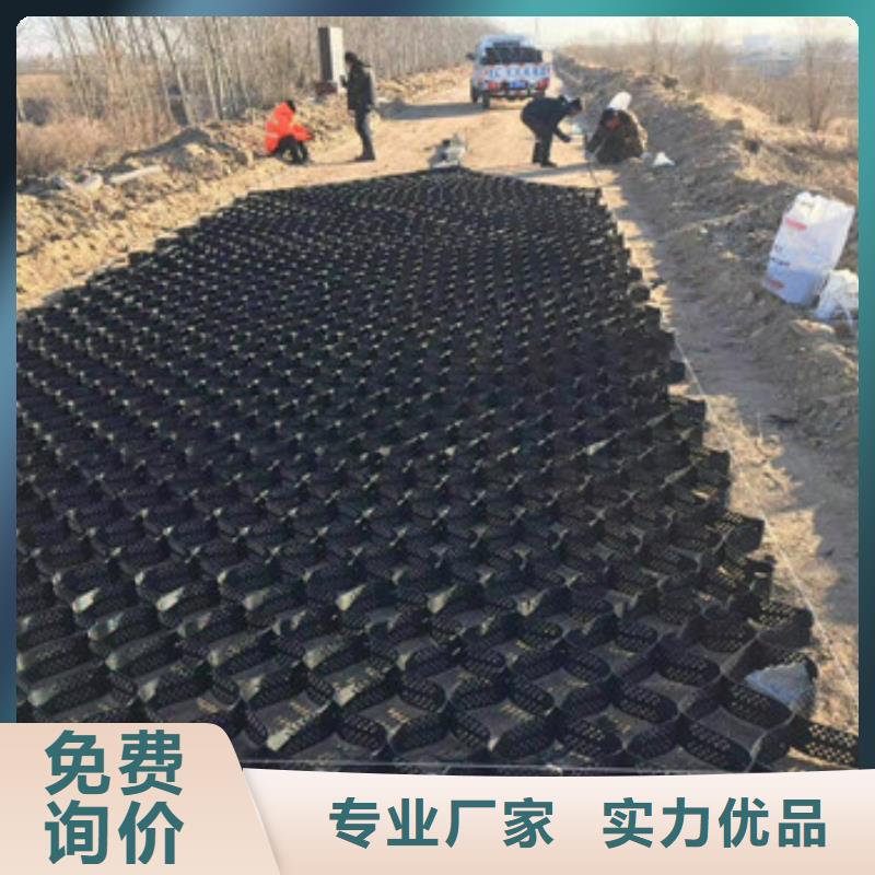 土工格室养殖膜出货快