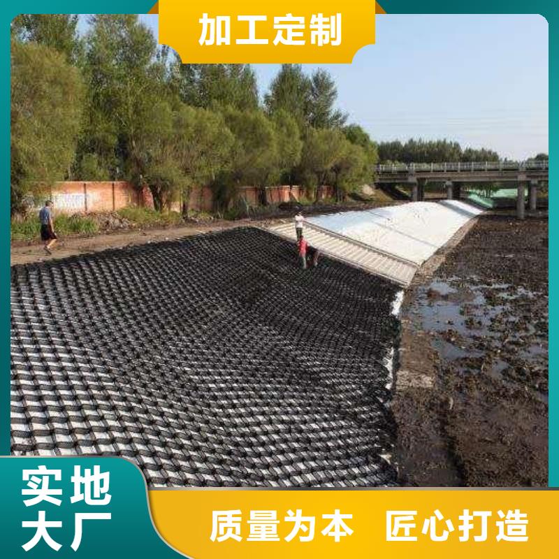 土工格室涤纶土工格栅有口皆碑