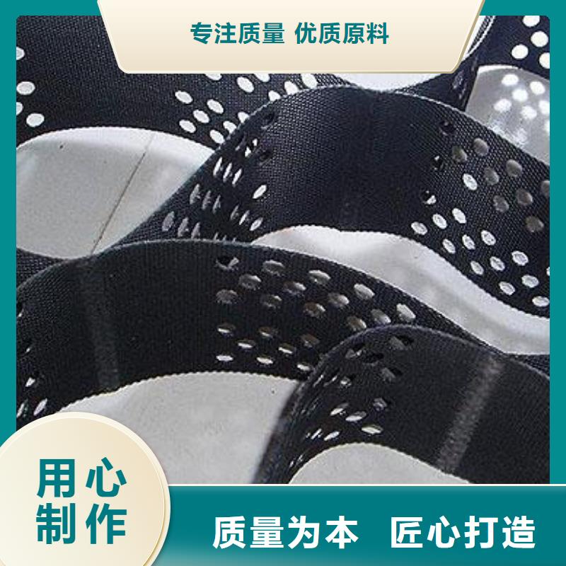 土工格室凸结点钢塑土工格栅精选优质材料