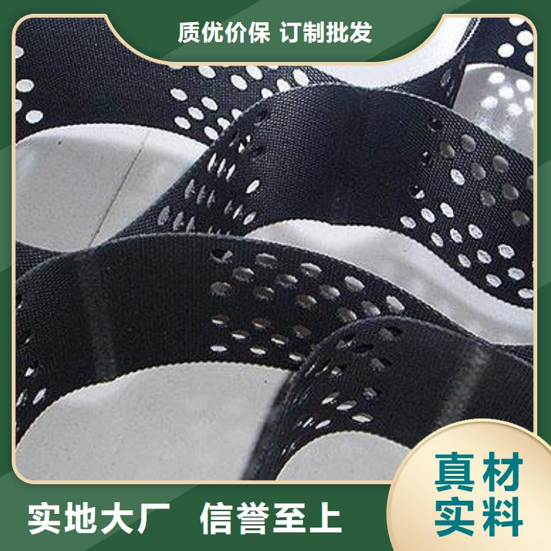 土工格室三维土工网垫专业生产团队