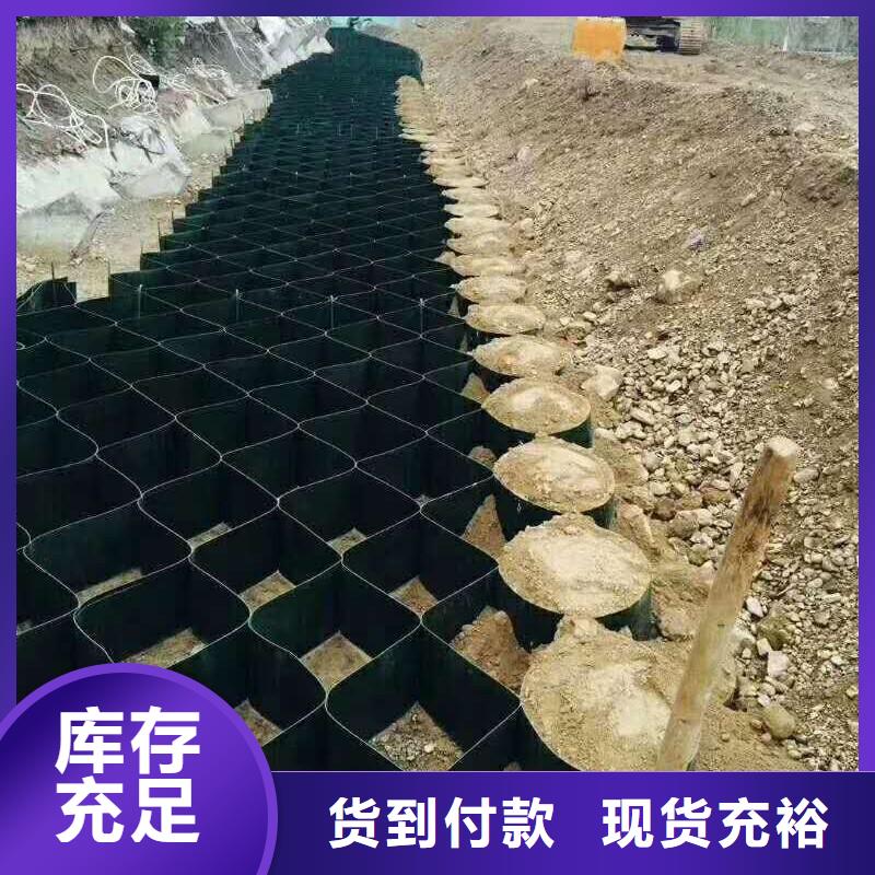 土工格室_反滤土工布好货直供