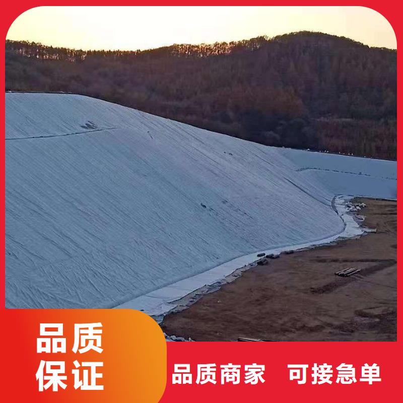 三维复合排水网透水土工布本地配送