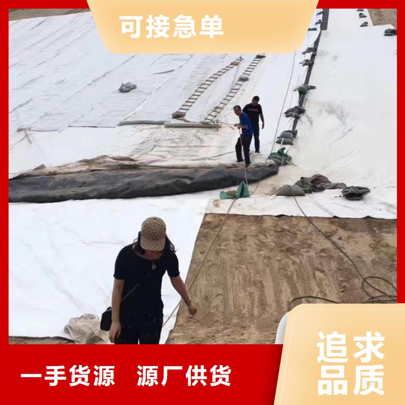 三维复合排水网【防水土工布】专业厂家