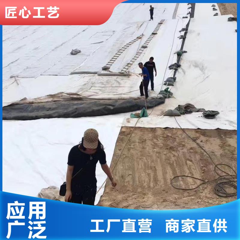 三维复合排水网,双向塑料土工格栅厂家直发