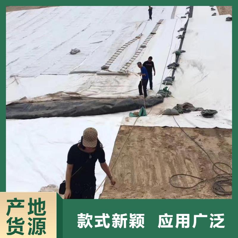 三维复合排水网土工布您想要的我们都有