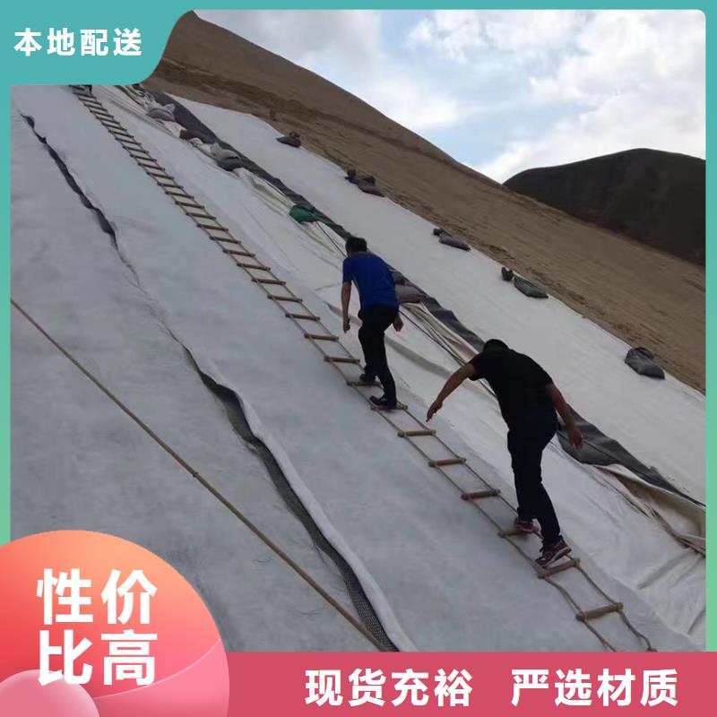 三维复合排水网三维土工网垫厂家实力雄厚