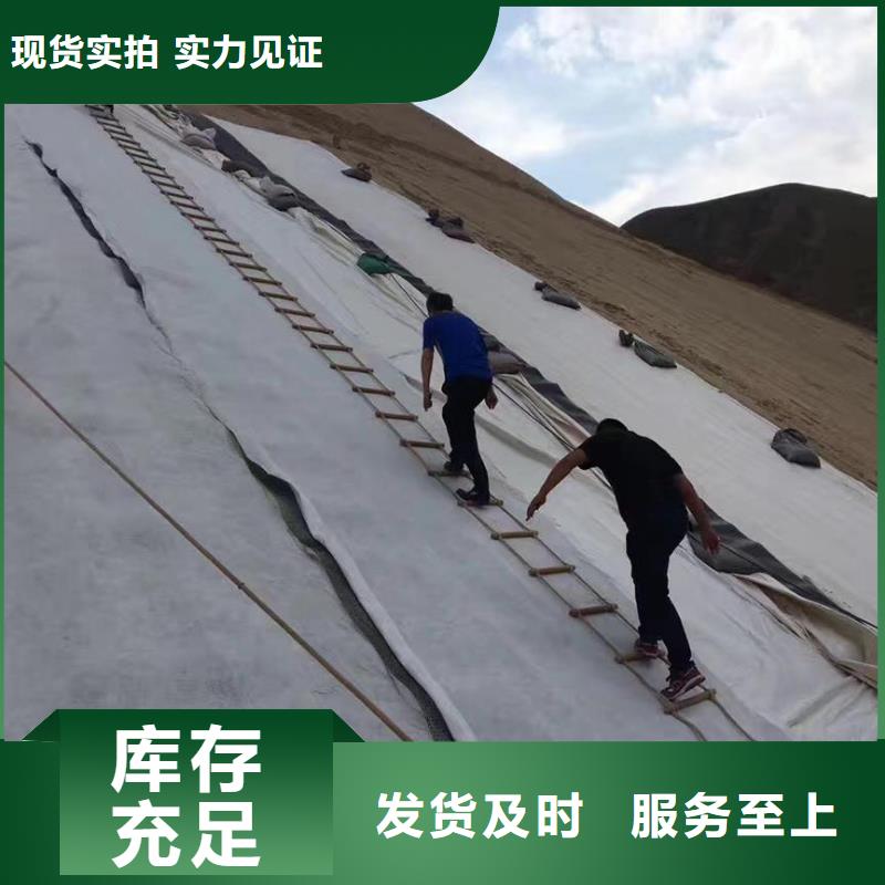 三维复合排水网,双向塑料土工格栅厂家直发