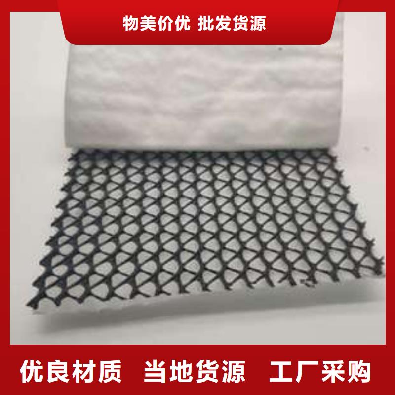 三维复合排水网,双向塑料土工格栅厂家直发