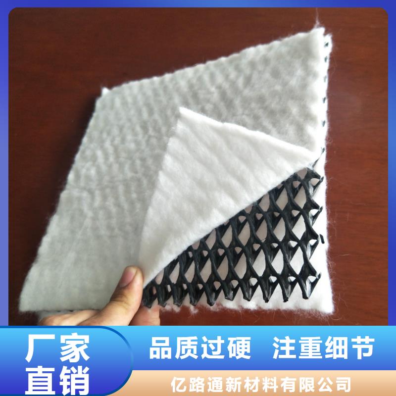 【三维复合排水网护坡土工网品牌大厂家】