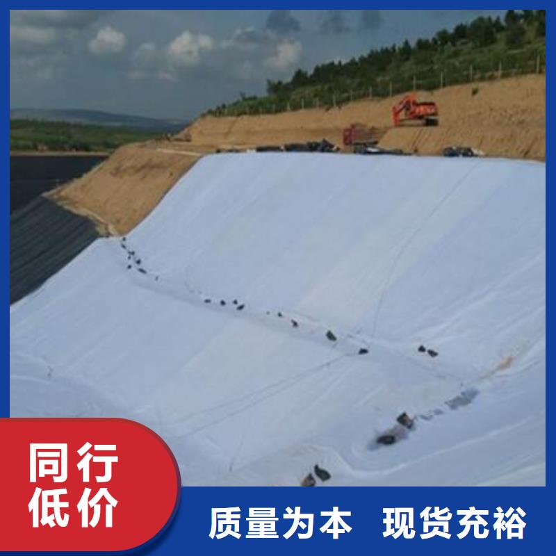 三维复合排水网-钢塑土工格栅长期供应