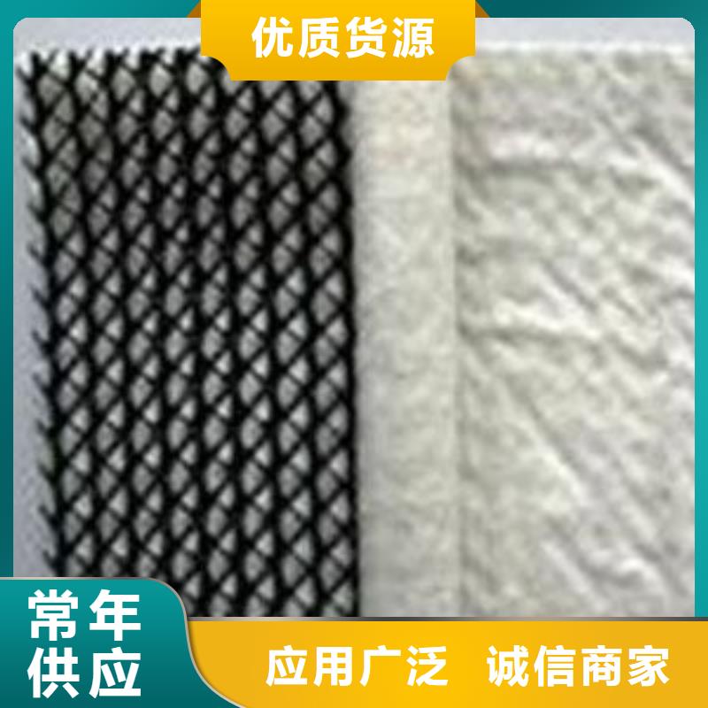 三维复合排水网玻纤土工格栅匠心制造