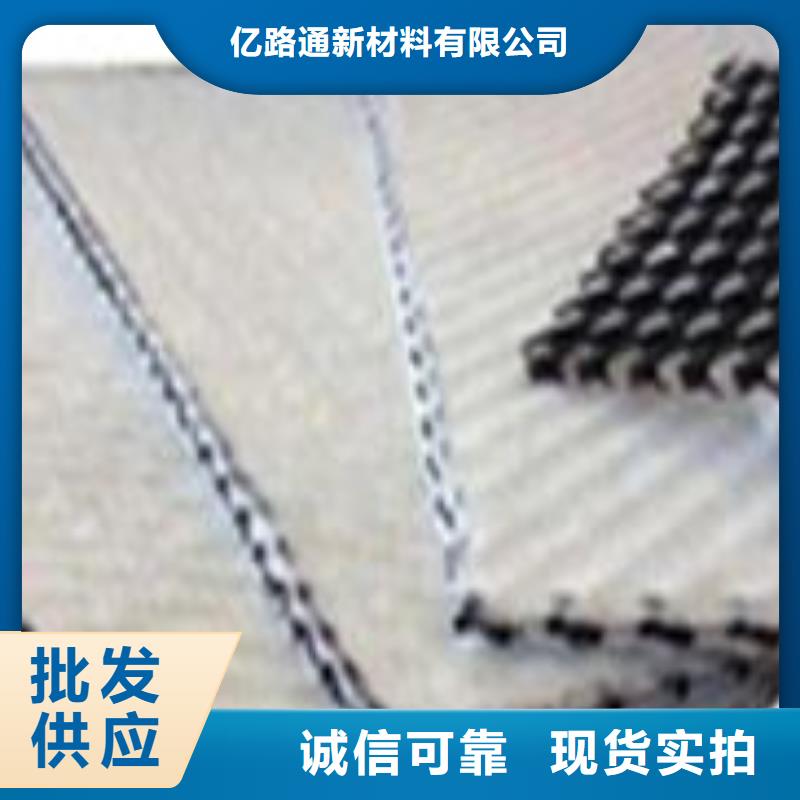 【三维复合排水网_聚乙烯土工膜厂家现货批发】