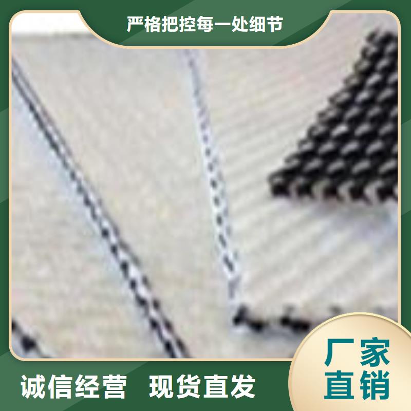 【三维复合排水网】单向塑料土工格栅诚信厂家