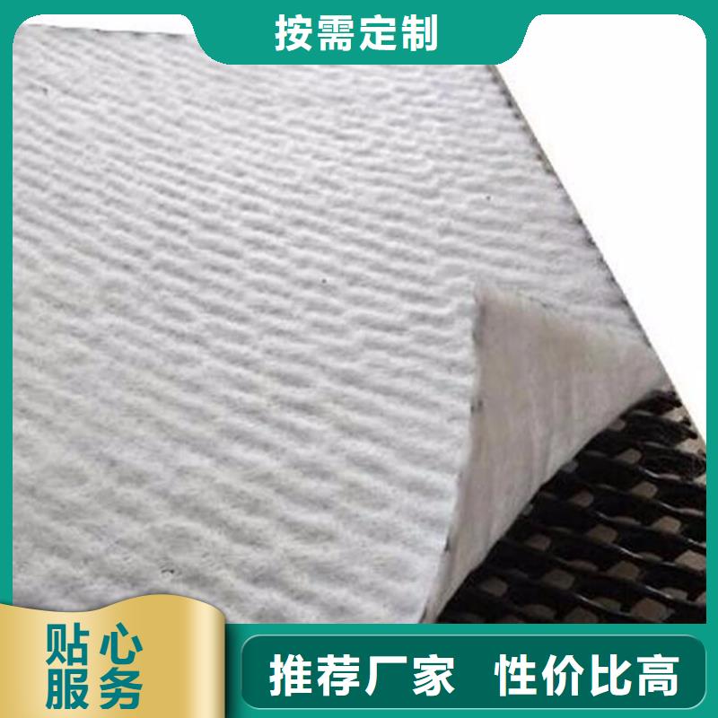 三维复合排水网涤纶土工格栅N年专注