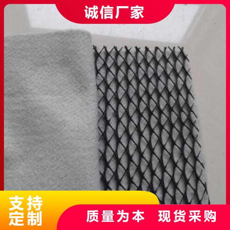 三维复合排水网涤纶土工格栅N年专注