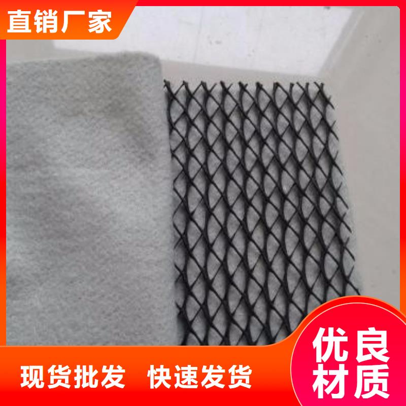 三维复合排水网,双向塑料土工格栅厂家直发