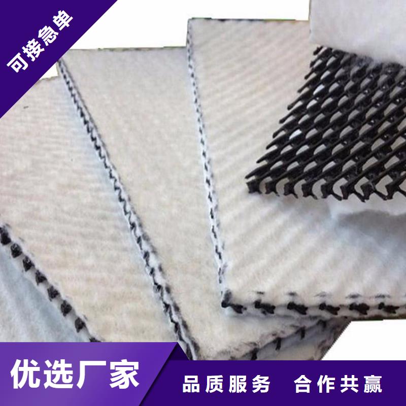 三维复合排水网玻纤土工格栅实力厂家