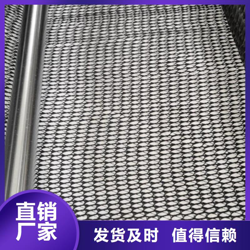 三维复合排水网_涤纶土工格栅品质保障售后无忧