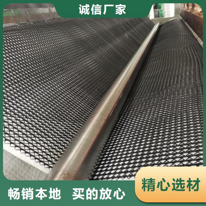 【三维复合排水网钢塑土工格栅自有厂家】