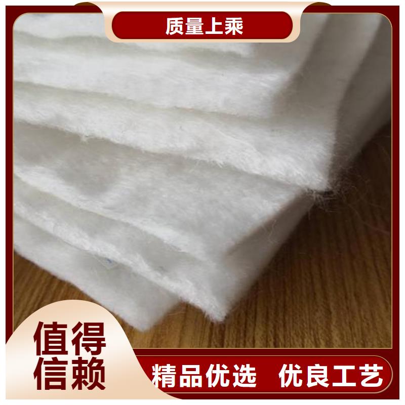 土工布复合土工膜价格公道合理