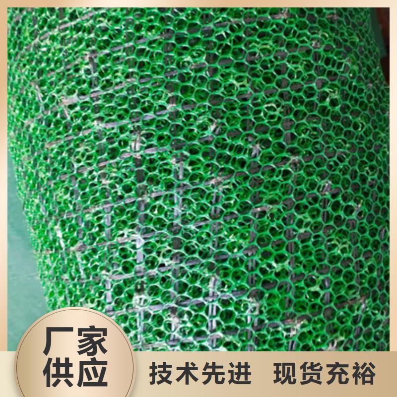三维植被网-长丝土工布厂家直销供货稳定