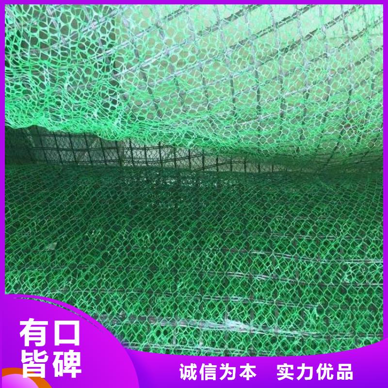 三维植被网-【防水土工布】多家仓库发货