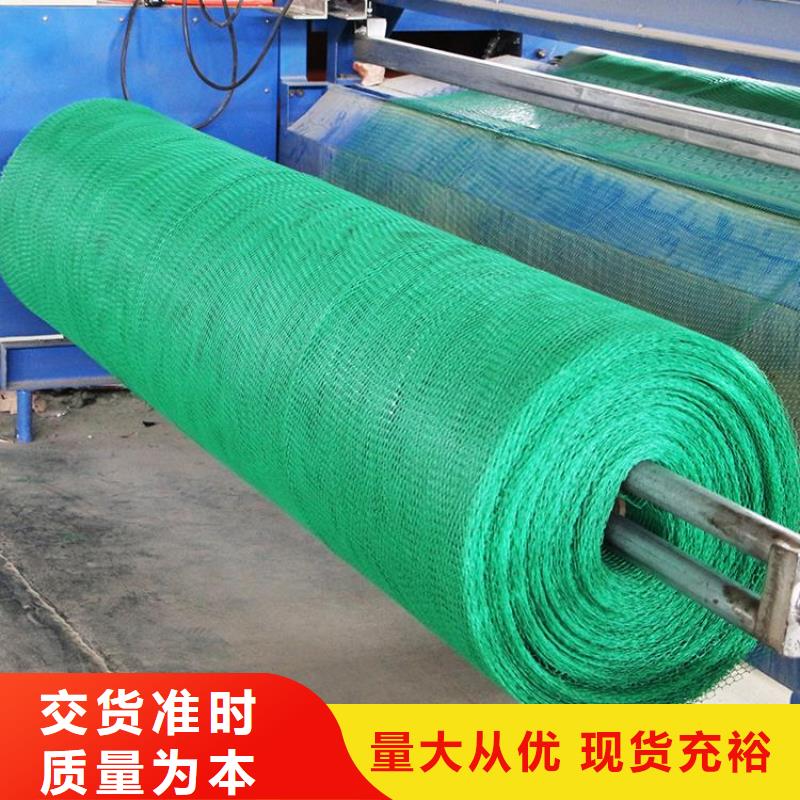 三维植被网三维土工网垫支持加工定制
