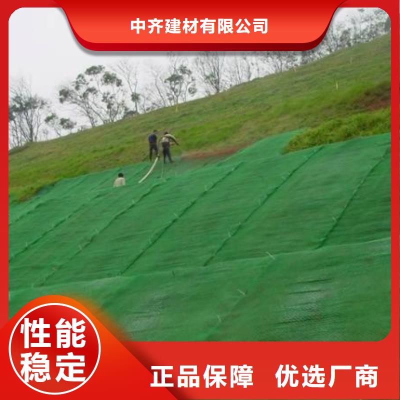 三维植被网,凸结点钢塑土工格栅安装简单