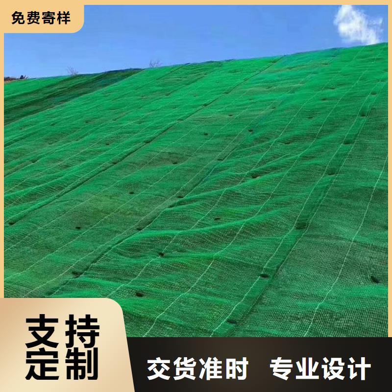 【三维植被网,护坡土工网产地采购】