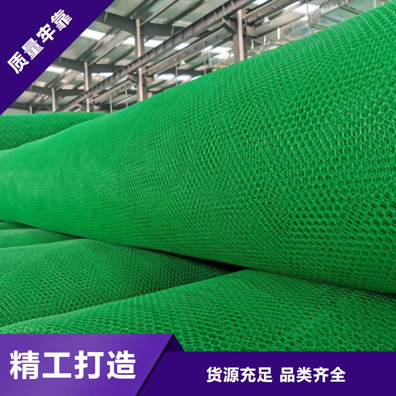 【三维植被网单向塑料格栅库存量大】