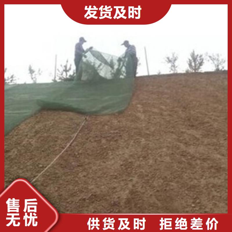 【三维植被网】_复合土工膜符合行业标准