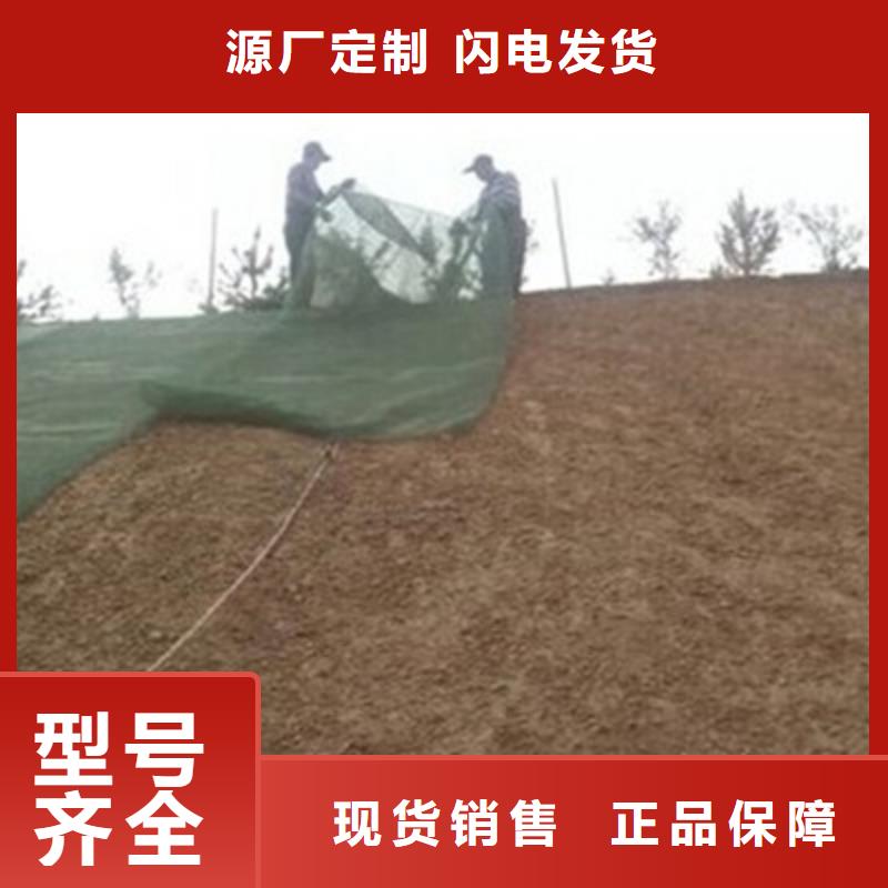 【三维植被网】双向塑料格栅现货实拍