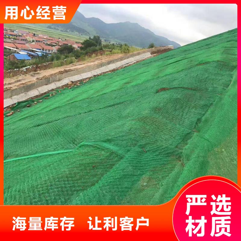 【三维植被网】双向塑料格栅现货实拍