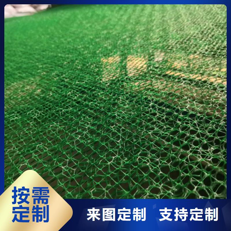 三维植被网_护坡土工网厂家现货供应