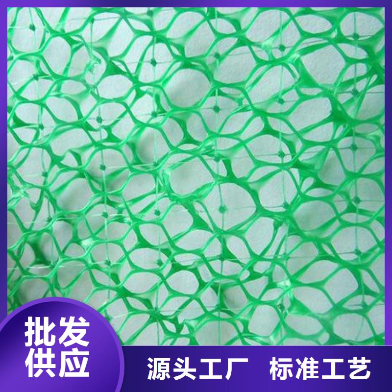 三维植被网护坡土工网厂家规格全