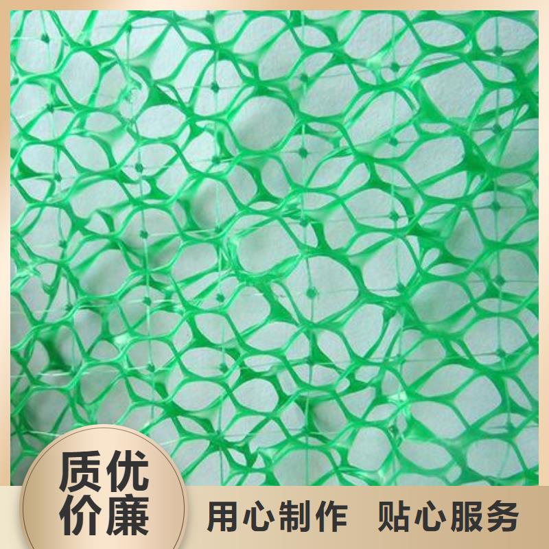 三维植被网,单向塑料格栅品质过硬