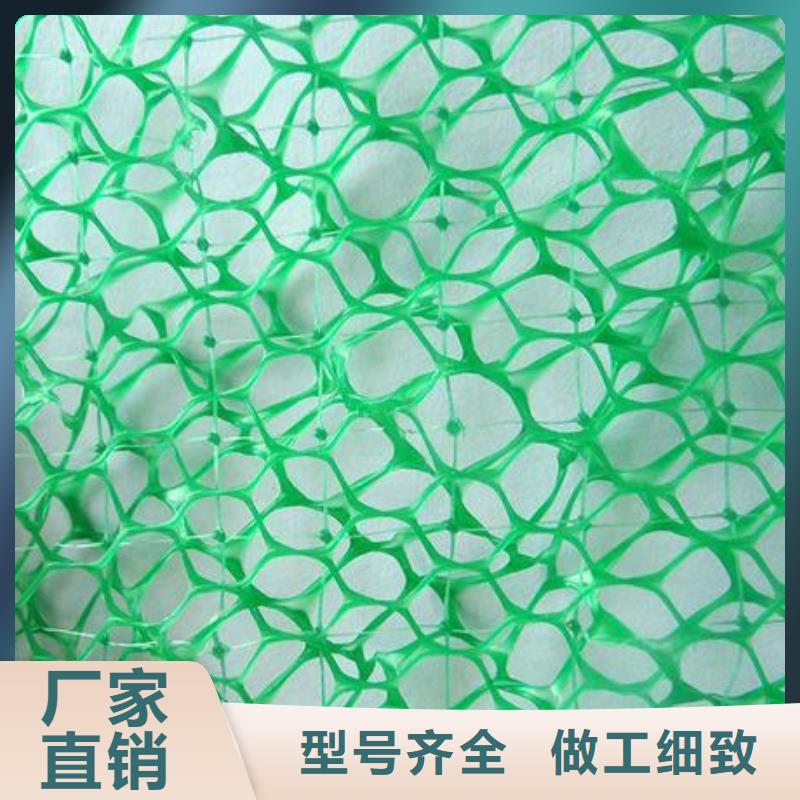 三维植被网复合土工膜厂家直营