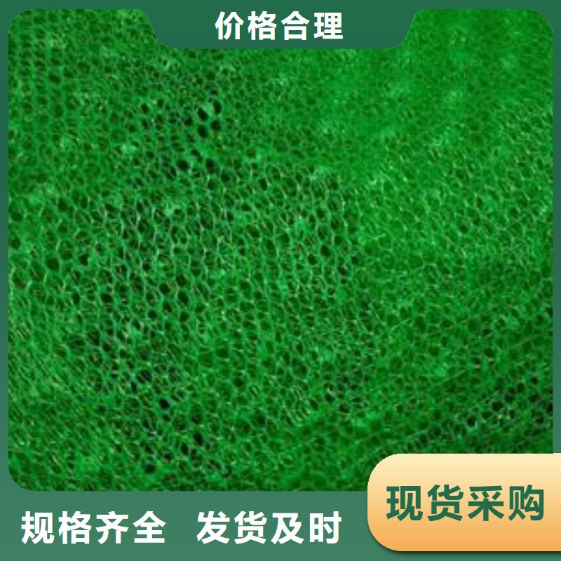 三维植被网-【防水土工布】多家仓库发货