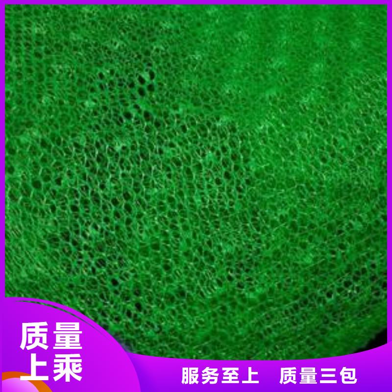 三维植被网单向塑料格栅从厂家买售后有保障