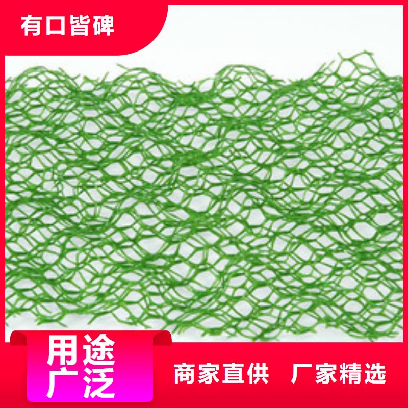三维植被网-膨润土防水毯专业信赖厂家
