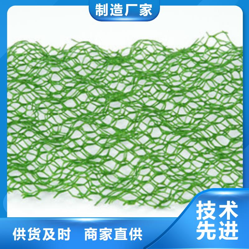 【三维植被网】双向塑料土工格栅自有厂家