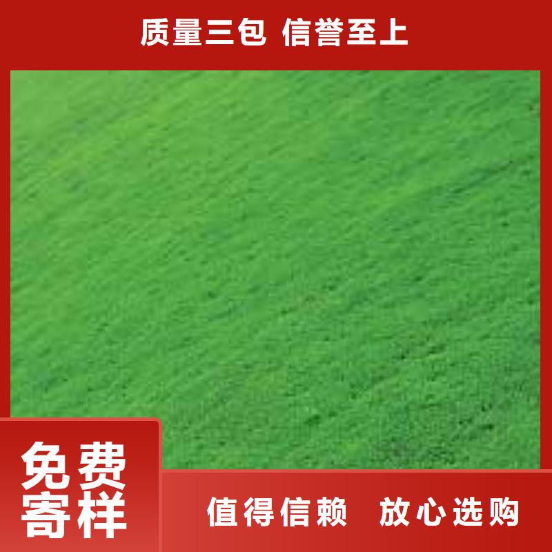 【三维植被网】双向塑料土工格栅自有厂家