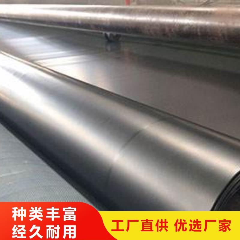土工膜单向塑料格栅品质商家